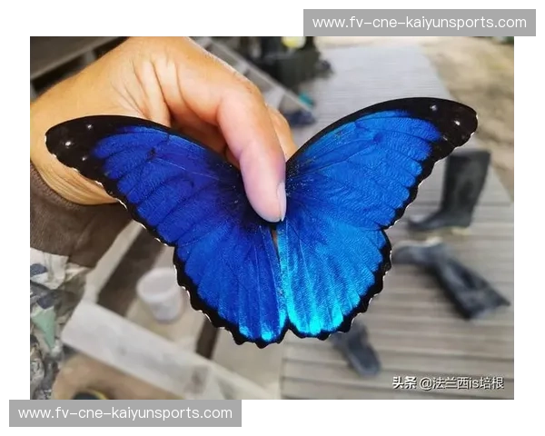 蝴蝶掠过法兰西之巅：2016年，那场关于眼泪、救赎与孤注一掷的宿命对决